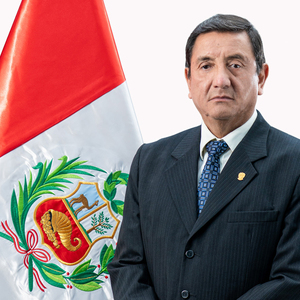 Viceministro de Políticas para la Defensa